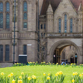 Spring outside the John Owens Building with daffodils in the foreground 