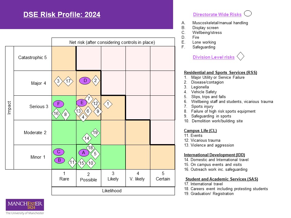 DSE Risk Profile - Health and Safety