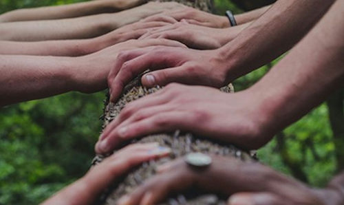 Row of hands working together 